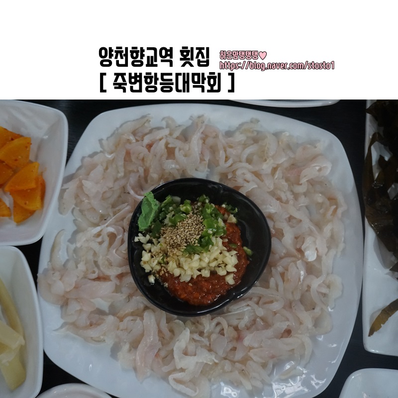 죽변항등대막회 이미지