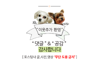 포크포크매콤돈가스칡불냉면 이미지