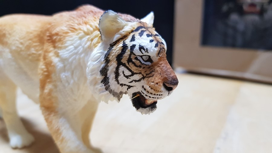 필승광택 이미지