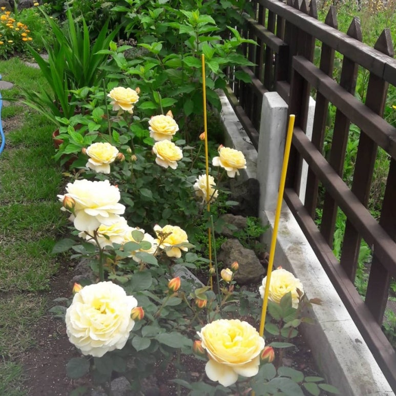 마를린홈 이미지