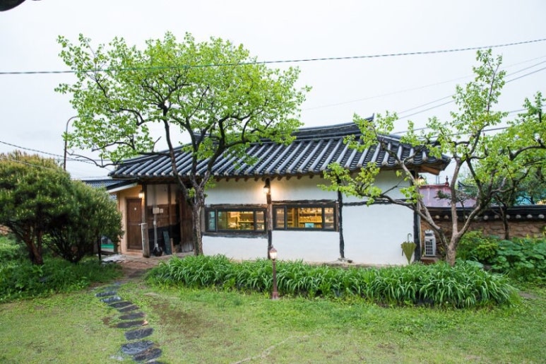 차꽃오미 이미지