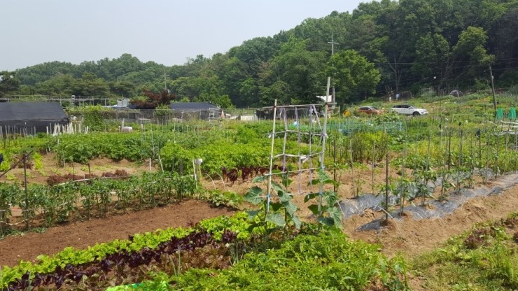 (주)아주농장 이미지