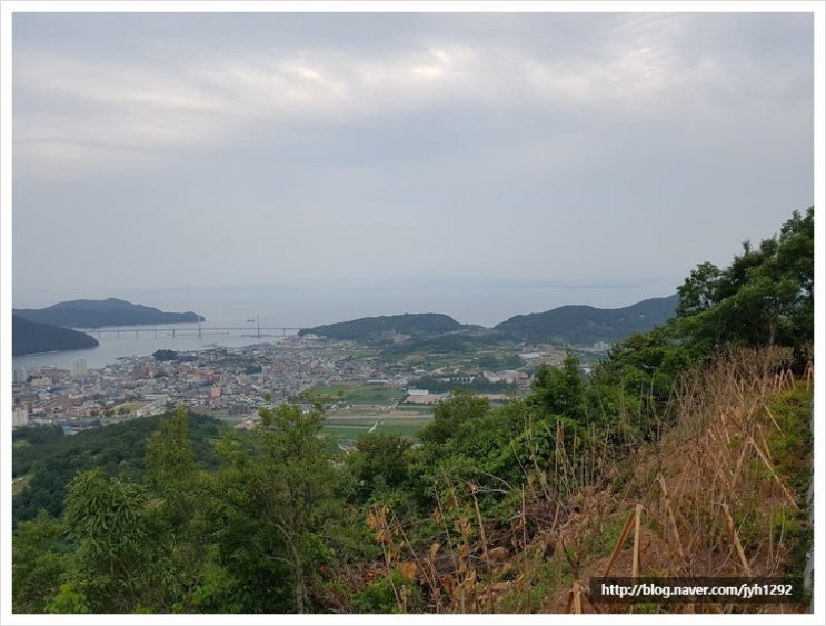 대교농산 이미지
