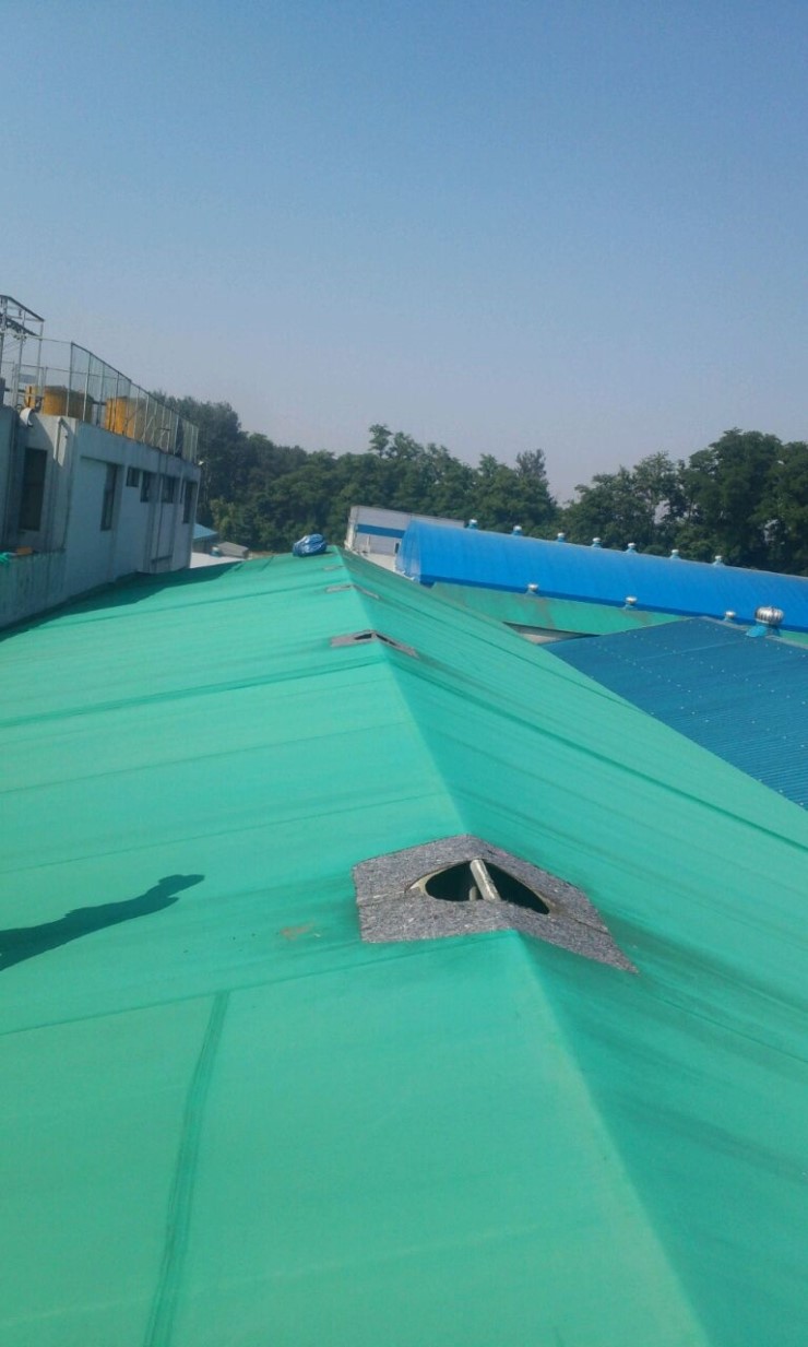 대상(주)오산공장 이미지