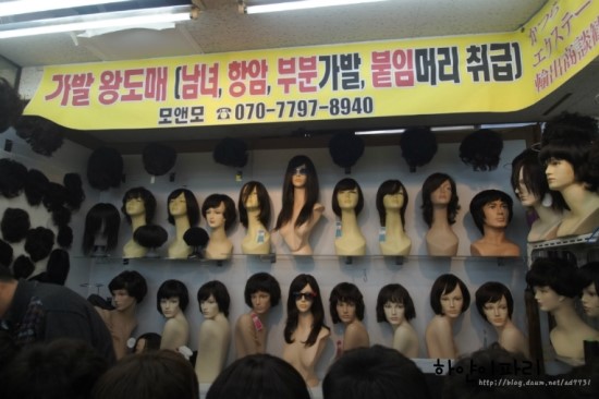 모터치 이미지