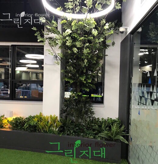 그린나무병원 이미지