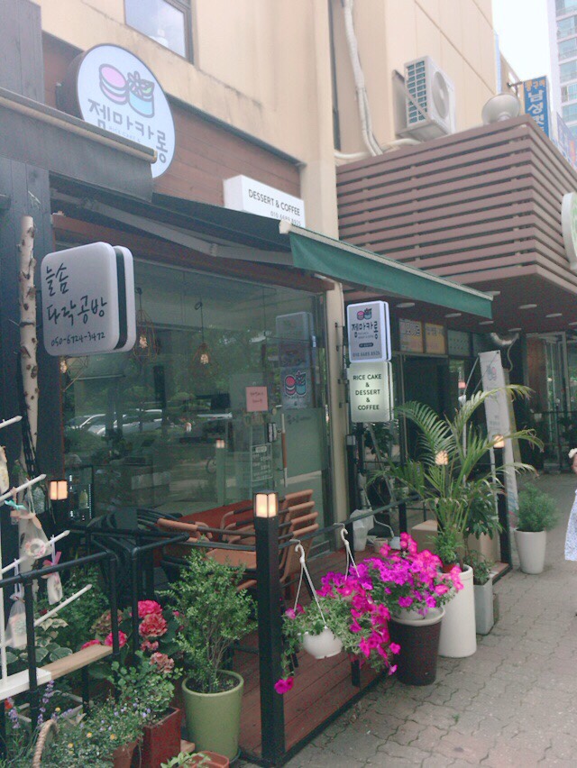 젬마카롱 이미지