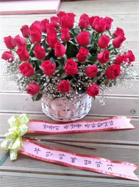 오전꽃농원 이미지