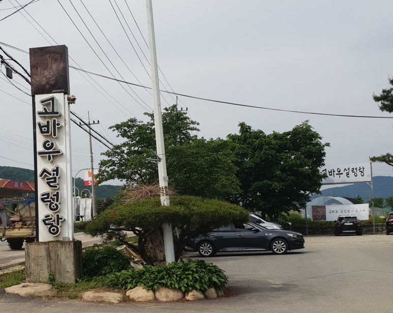 고바우 이미지
