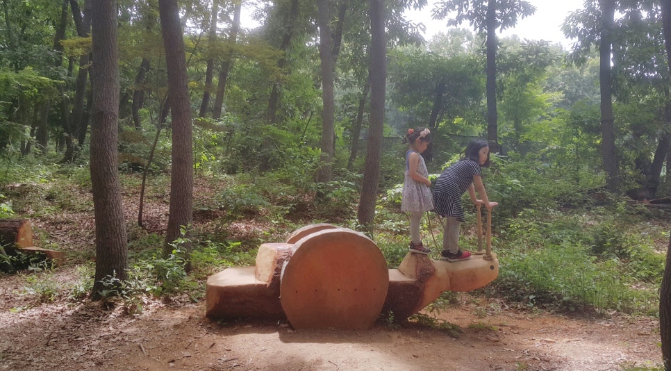인후공원 유아숲체험원 이미지