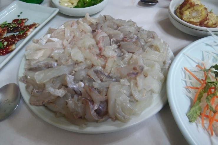 망경장어 이미지