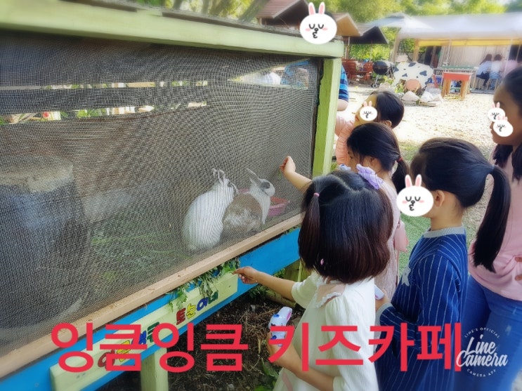 뉴강서양천키즈 이미지