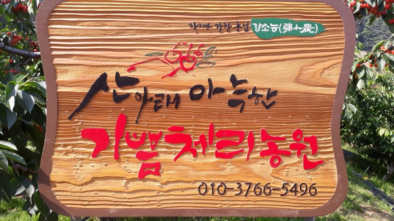 체리사랑농원 이미지