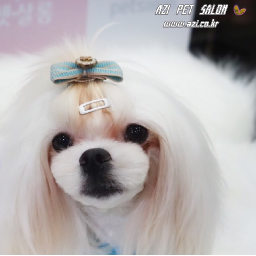 순이살롱 이미지