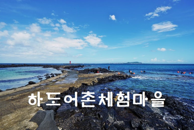 제주바다 이미지