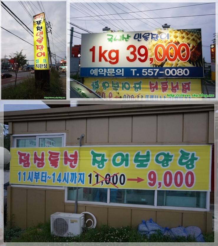 가본풍천민물장어 이미지
