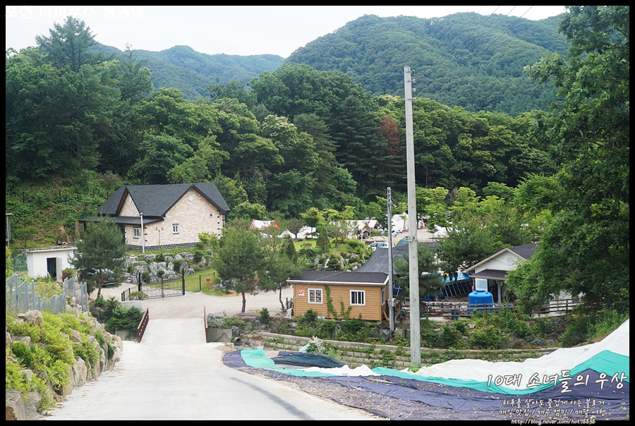 파피루스캠핑장 이미지