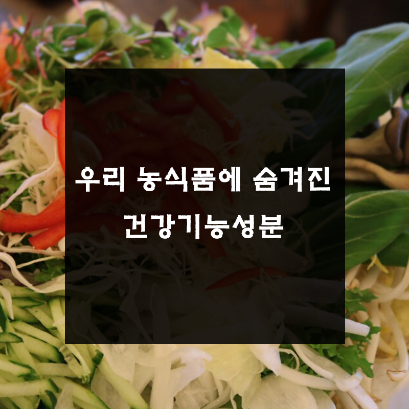 우리농식품 이미지