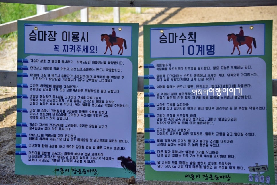 세종시장군승마장 이미지