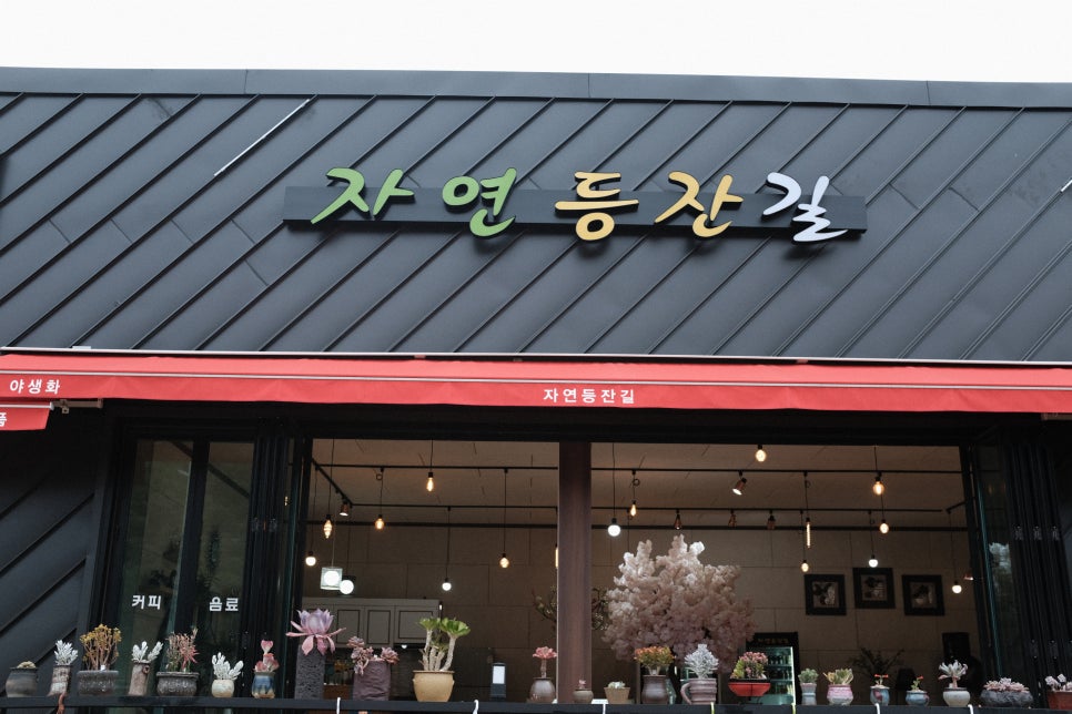 자연등잔길 이미지
