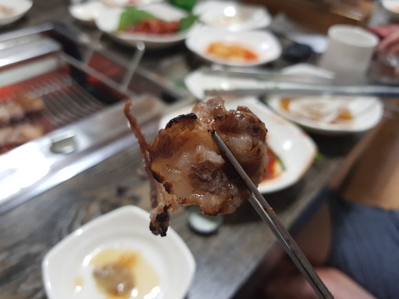 뿔난염소 이미지