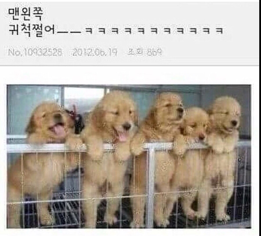 Gold Hands 이미지