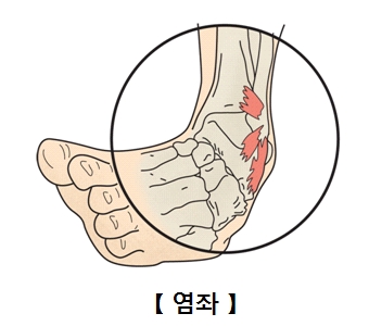 피지오스 이미지