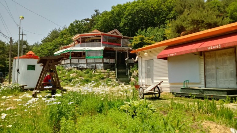 아이올라 이미지