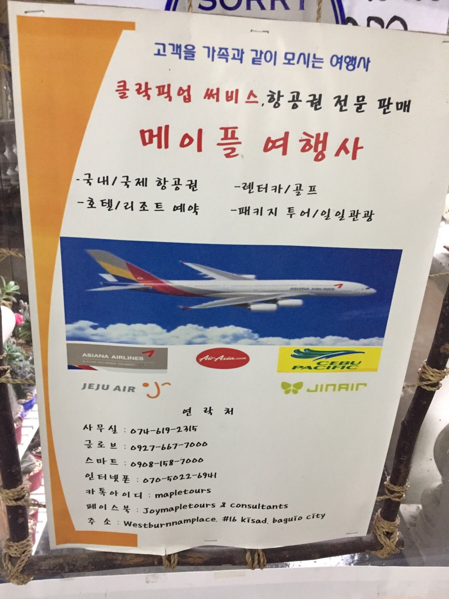빅토리여행사 이미지