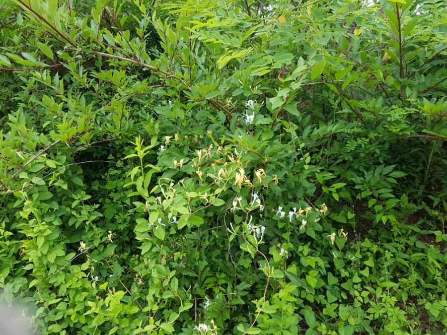 세런디피티78 이미지