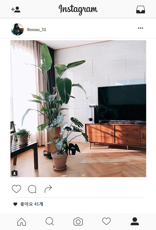 오투와이드 이미지