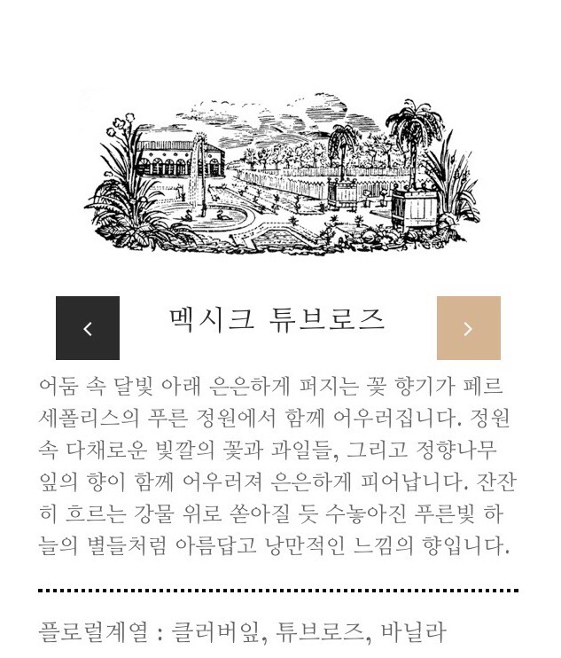 바디윌 이미지