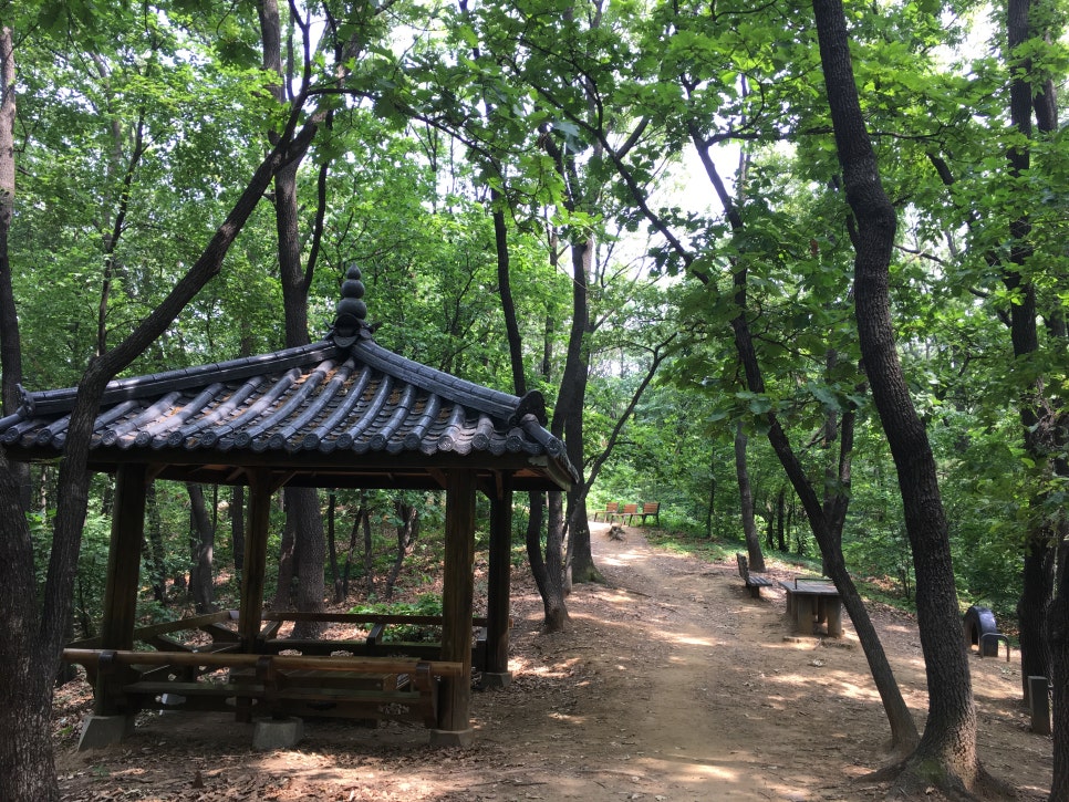 방배동 사람들 이미지