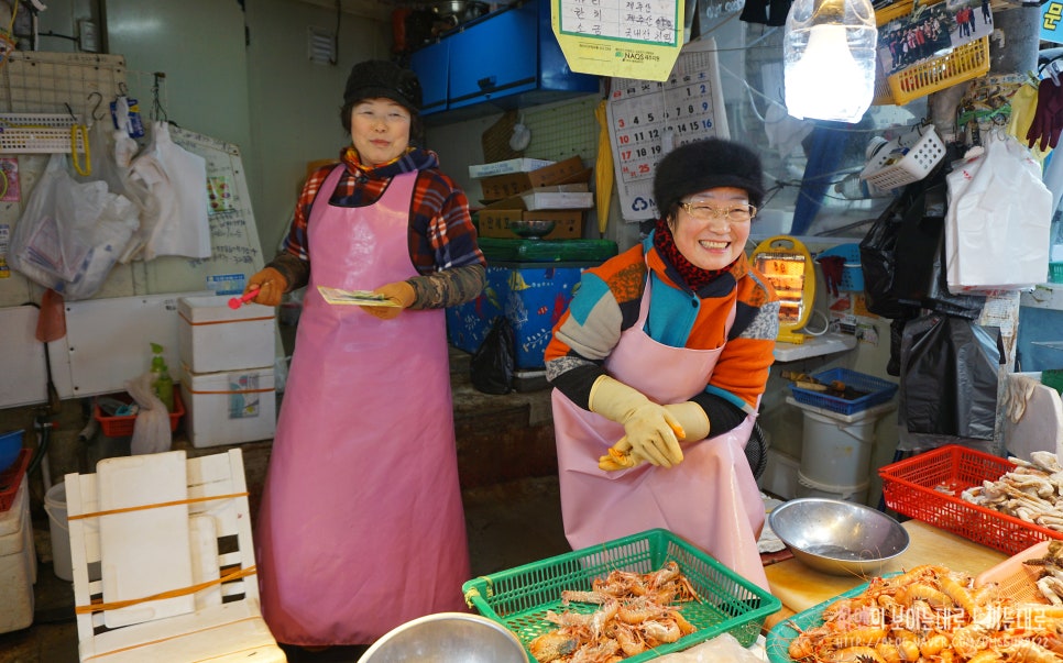 은정상회 이미지