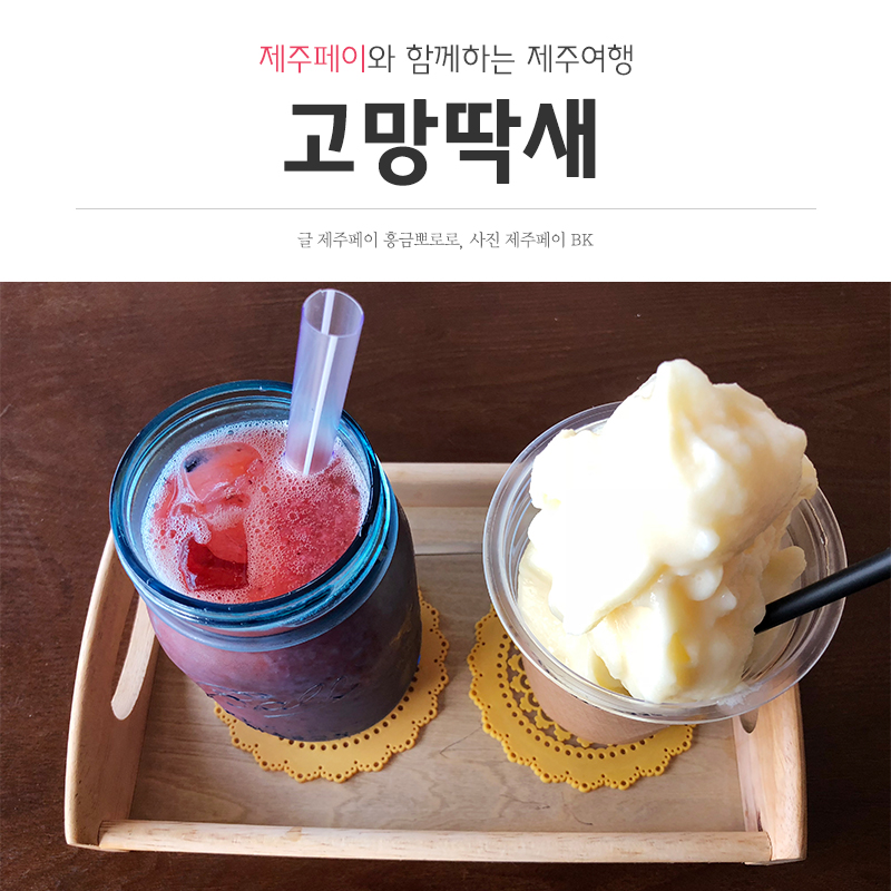 고망딱새 이미지