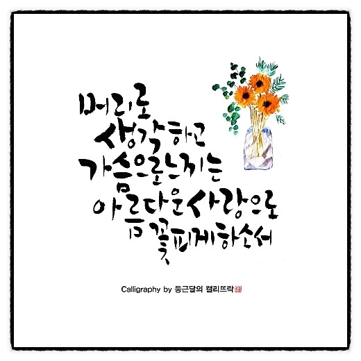 참머리사랑 이미지