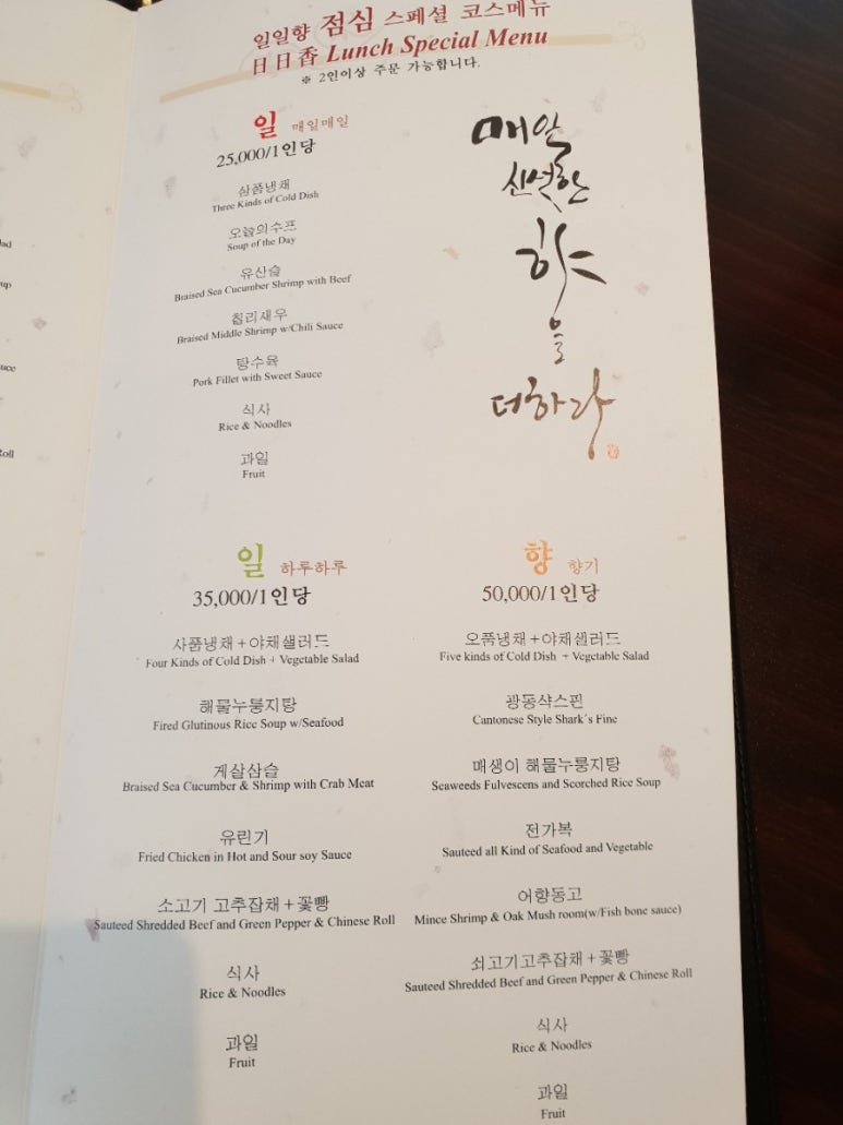 일일향 이미지