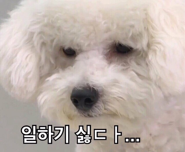 공감 이미지