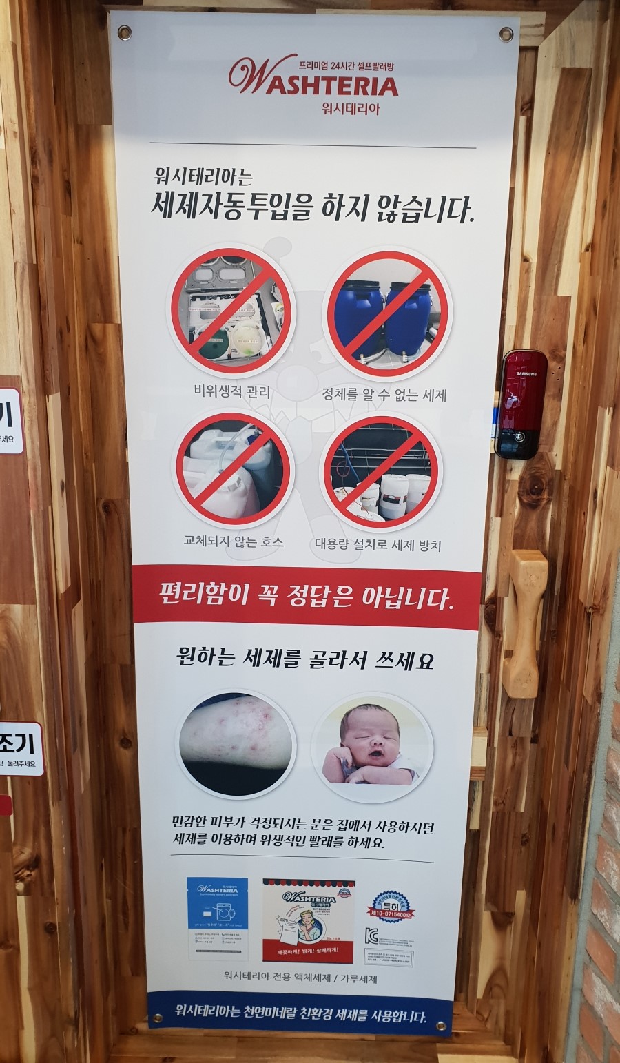 워시테리아올레 이미지