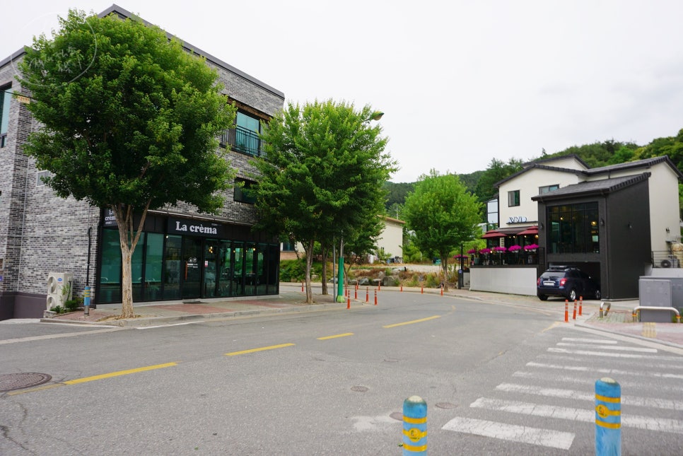 AVVIO509 이미지