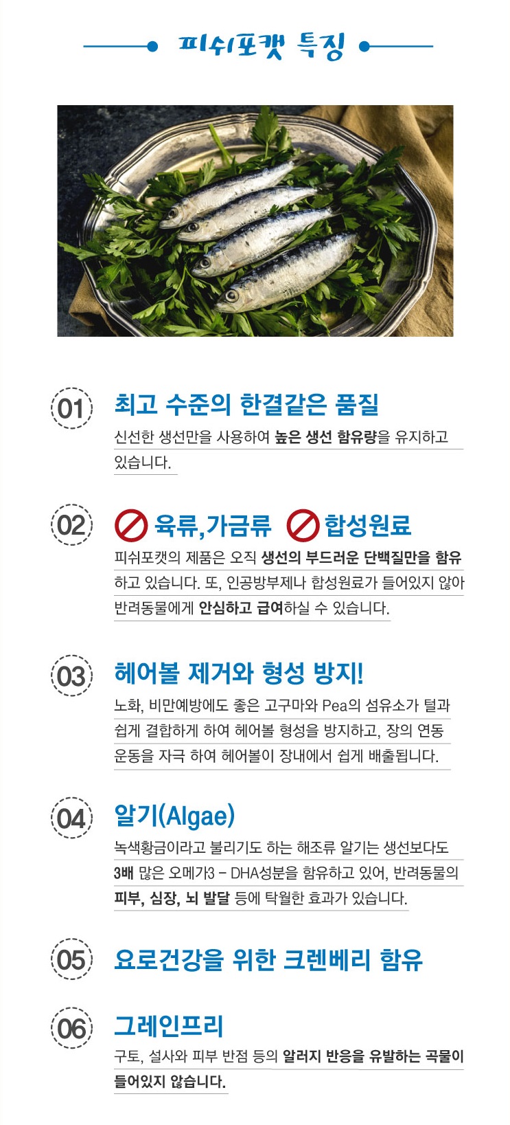 포캣 이미지