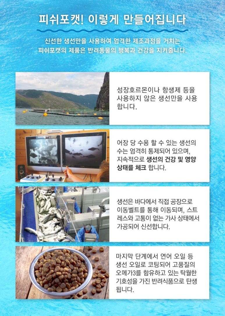 포캣 이미지