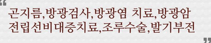 선아정보통신 이미지