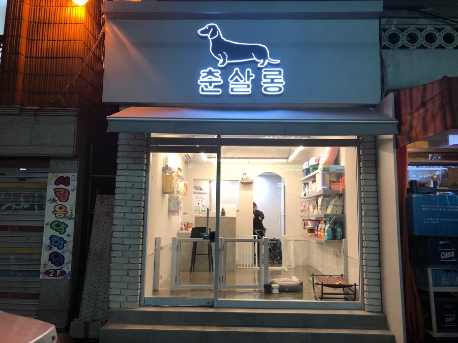 춘살롱 이미지