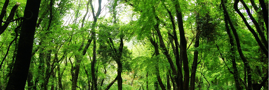 103순례자의 집 이미지