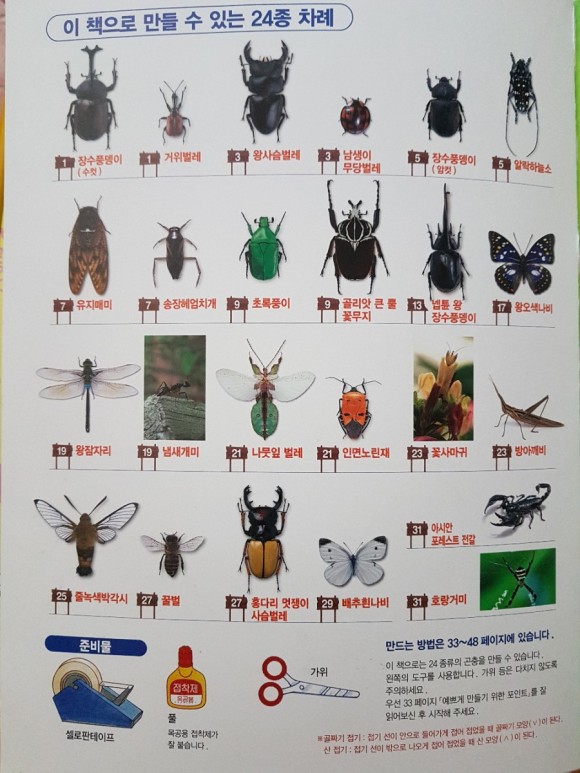 곤충 종류