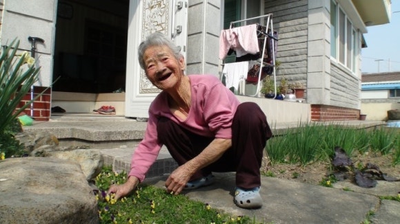 할머니의 식탁 이미지