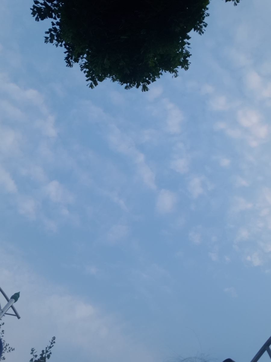 명랑핫도그서산터미널점 이미지