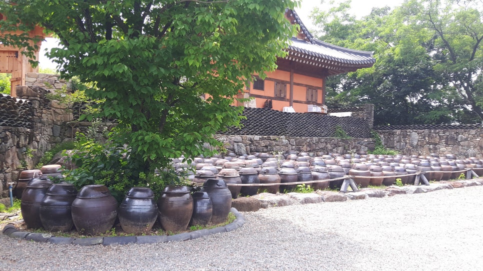 나의살던고향민박 이미지