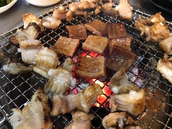 광릉왕꼼장어 이미지